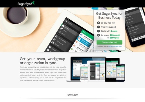 sugarsync for business review