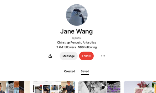 Jane Wang's Pinterest page