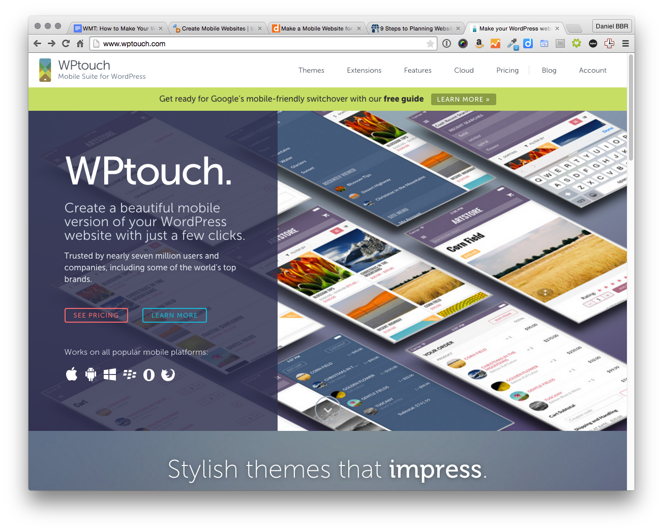 Local Web Design Professionals - Mobile Desktop Websites